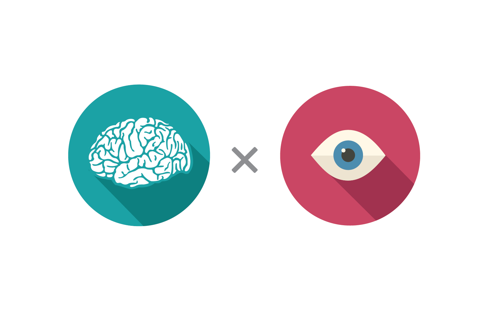 Eye and Brain